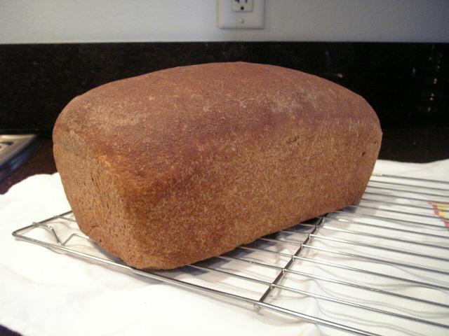 Whole Wheat Bread